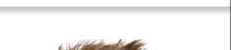 navbar2