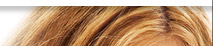 navbar2
