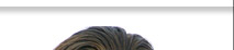 navbar2